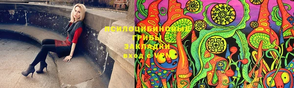 молекула духа Баксан
